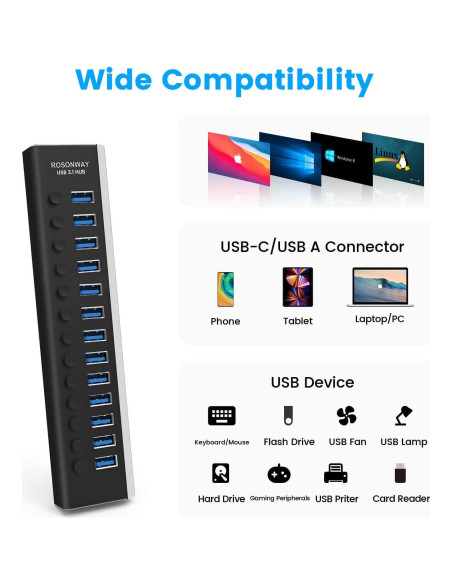 Hub USB Alimentado Rosonway RSH-A13 de 13 Puertos 10Gbps