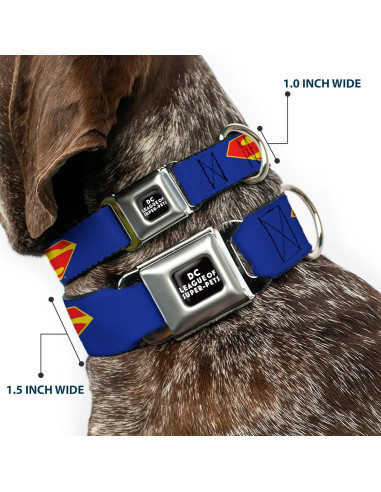 Collar de Perro con Hebilla de Seguridad Buckle-Down 28-42 cm