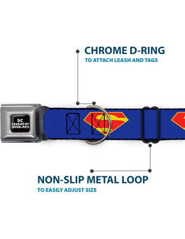 Collar de Perro con Hebilla de Seguridad Buckle-Down 28-42 cm