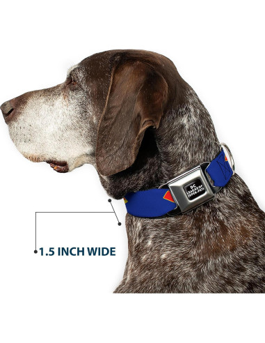 Collar de Perro con Hebilla de Seguridad Buckle-Down 28-42 cm