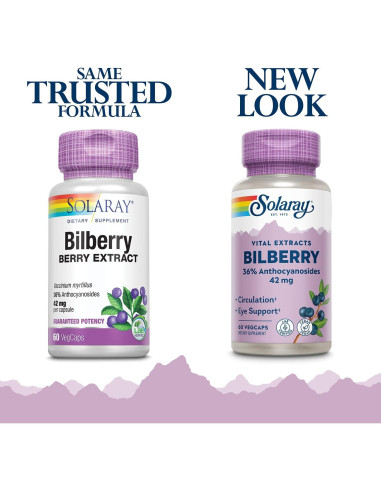 Extracto de Baya de Arándano Solaray 42 mg 60 VegCaps