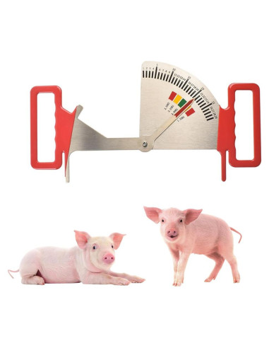 Calibrador de Grasa de Cerda 2025 - Regla de Condición Corporal