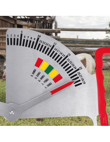 Calibrador de Grasa de Cerda 2025 - Regla de Condición Corporal