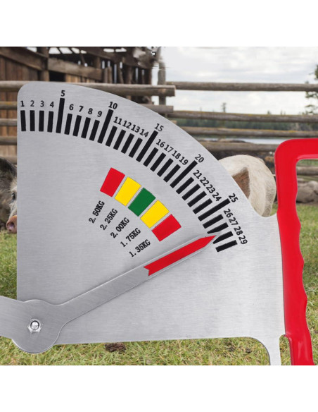 Calibrador de Grasa de Cerda 2025 - Regla de Condición Corporal