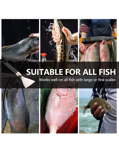 Removedor de Escamas de Pescado Esteopt 304A Acero Inoxidable