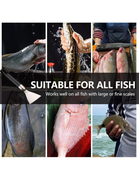 Removedor de Escamas de Pescado Esteopt 304A Acero Inoxidable