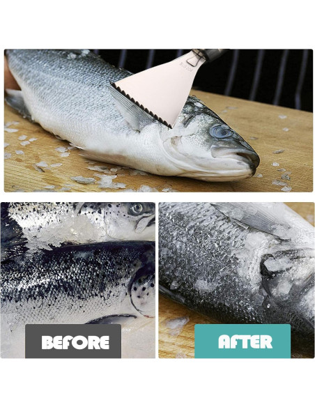 Removedor de Escamas de Pescado Esteopt 304A Acero Inoxidable