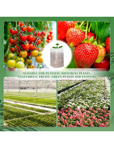 1000 Bolsas de Vivero Wesnoy 15x16cm Tela No Tejida para Jardín