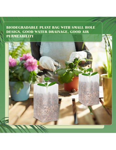 1000 Bolsas de Vivero Wesnoy 15x16cm Tela No Tejida para Jardín