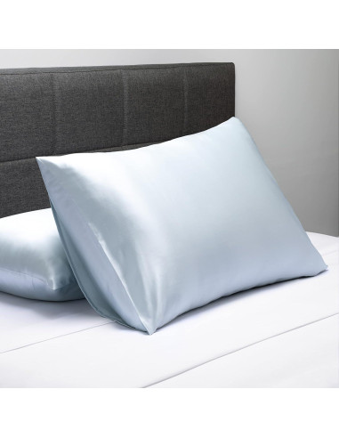 Juego de 2 Fundas de Almohada de Seda Pura Fishers Finery Azul