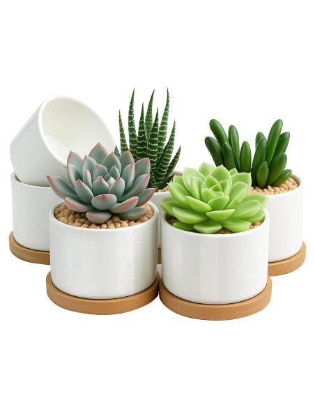 Macetas Suculentas ZOUTOG 8 cm Cerámica Blanca con Drenaje - 6 Piezas