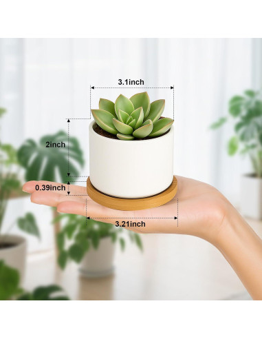 Macetas Suculentas ZOUTOG 8 cm Cerámica Blanca con Drenaje - 6 Piezas