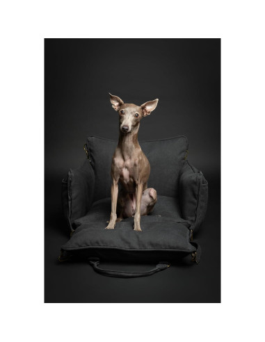 Asiento de Coche para Perros Noah & Paw Mediano Negro