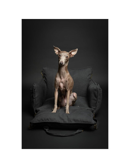 Asiento de Coche para Perros Noah & Paw Mediano Negro