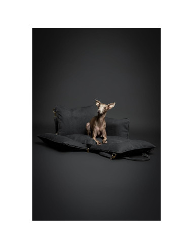 Asiento de Coche para Perros Noah & Paw Mediano Negro