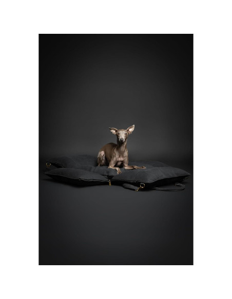 Asiento de Coche para Perros Noah & Paw Mediano Negro