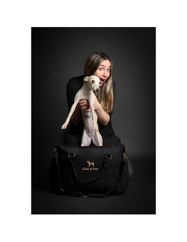 Asiento de Coche para Perros Noah & Paw Mediano Negro