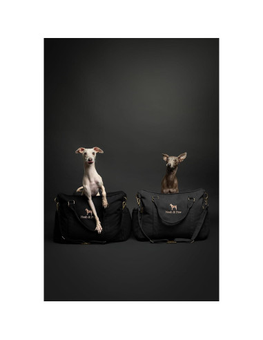 Asiento de Coche para Perros Noah & Paw Mediano Negro