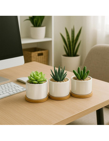Macetas Suculentas ZOUTOG 8 cm Cerámica Blanca con Drenaje - 6 Piezas