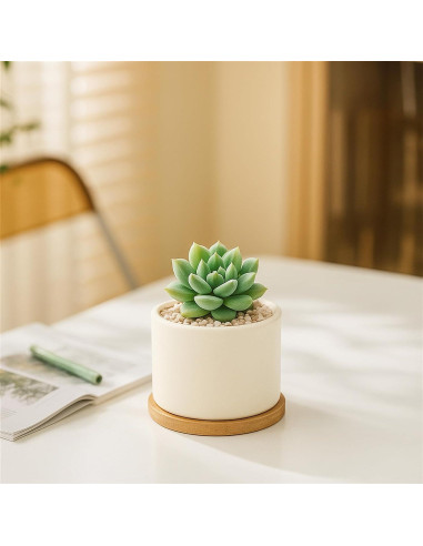 Macetas Suculentas ZOUTOG 8 cm Cerámica Blanca con Drenaje - 6 Piezas