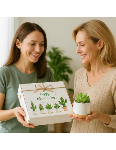 Macetas Suculentas ZOUTOG 8 cm Cerámica Blanca con Drenaje - 6 Piezas