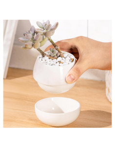 Maceta Pequeña de Cerámica Willowy 8.9 cm con Drenaje