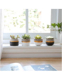 Juego de 4 Macetas de Cemento Mkono 8 cm para Suculentas 2