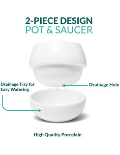 Maceta Pequeña de Cerámica Willowy 8.9 cm con Drenaje 2