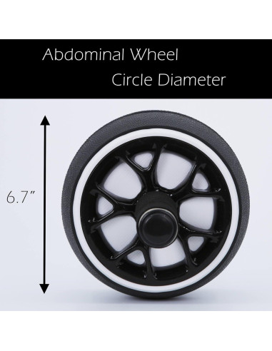 Rueda de Abdominales Dalekana DAB-55 Antideslizante 30cm