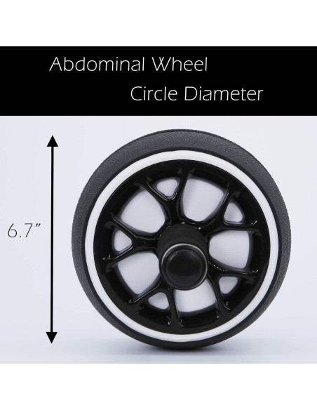 Rueda de Abdominales Dalekana DAB-55 Antideslizante 30cm
