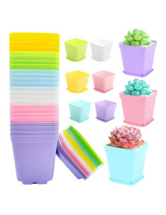 24 Macetas de Plástico Cshangzei 7x7x7.7 cm con Platillos
