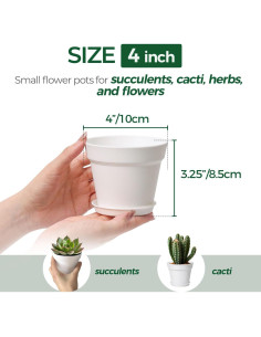 Macetas T4U de 10 cm Paquete de 8 con Plato y Drenaje 2