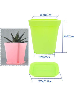 24 Macetas de Plástico Cshangzei 7x7x7.7 cm con Platillos 2