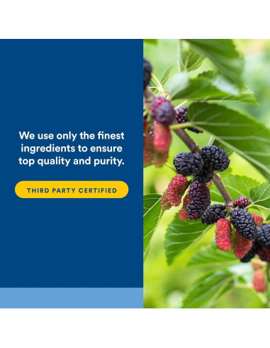 Cápsulas Vegetarianas PGX WellBetX Plus Morera 180 Unidades