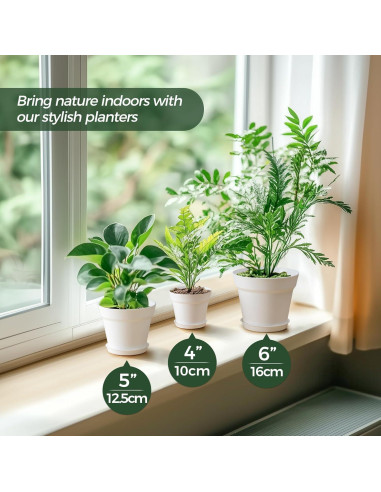 Macetas T4U de 10 cm Paquete de 8 con Plato y Drenaje