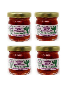 Mermelada de Pera Espinosa Cactus Candy 4 Pack 113.4ml