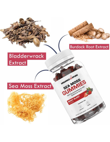 Gomitas de Musgo Marino Orgánico New Age 60 Unidades Sabor Bayas