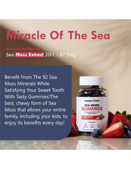 Gomitas de Musgo Marino Orgánico New Age 60 Unidades Sabor Bayas