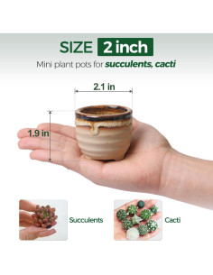 Set de 12 Macetas Cerámicas para Suculentas T4U con Drenaje 2