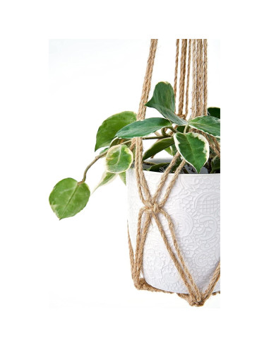 Juego de 3 colgadores de plantas macramé Dahey 58.4-88.9 cm