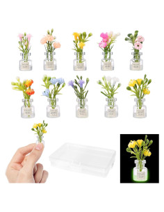 Juego de 10 Plantas Miniatura que Brillan en la Oscuridad