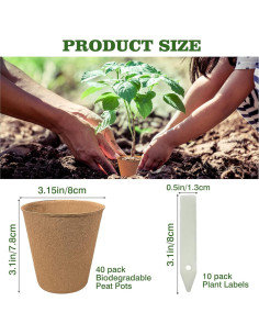 40 Macetas de Turba Biodegradables INCIKITI 8 cm para Plántulas 2