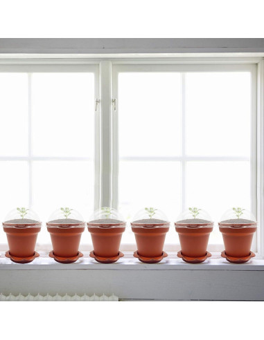 30 Macetas de Vivero PURPLE STAR 1N con Domo de Humedad