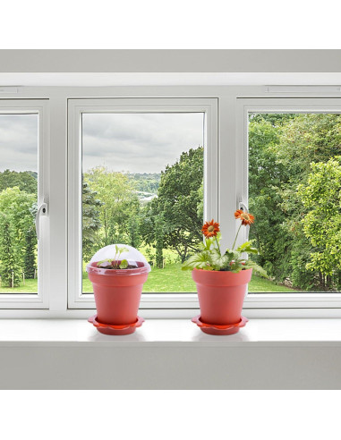 30 Macetas de Vivero PURPLE STAR 1N con Domo de Humedad