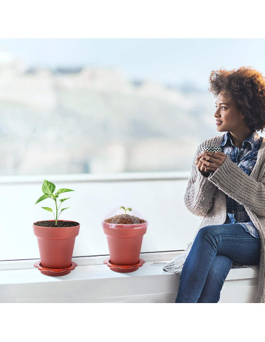 30 Macetas de Vivero PURPLE STAR 1N con Domo de Humedad