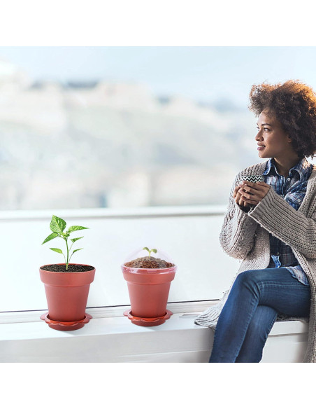 30 Macetas de Vivero PURPLE STAR 1N con Domo de Humedad