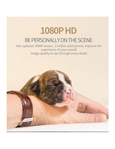 Cámara Mini SQ11 1080P HD con Visión Nocturna y Detección de Movimiento