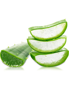 Gel de Ducha Hidratante CHI Naturales con Aloe Vera 340g 2