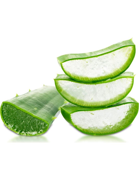 Gel de Ducha Hidratante CHI Naturales con Aloe Vera 340g