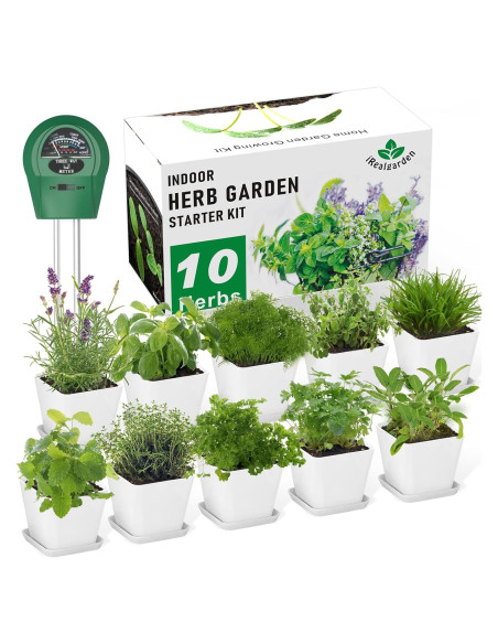 Kit de Jardín de Hierbas X M - 10 Variedades para Interior